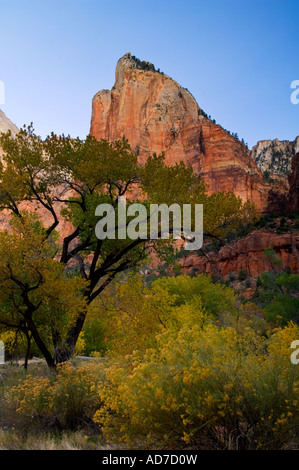 Morgenlicht auf The Court Patriarchen Zion Canyon Zion National Park in Utah Stockfoto