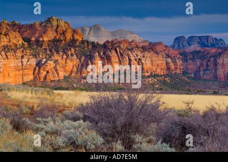 Abendlicht durch Gewitterwolken auf rote Felsen in der Nähe von Lee Valley Kolob Abschnitt Zion Nationalpark, Utah Stockfoto