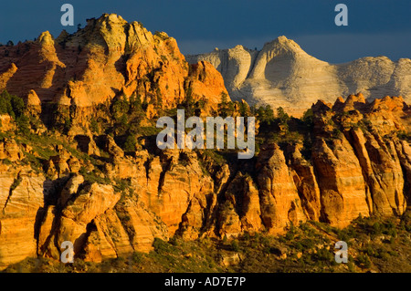 Abendlicht durch Gewitterwolken auf rote Felsen in der Nähe von Lee Valley Kolob Abschnitt Zion Nationalpark, Utah Stockfoto