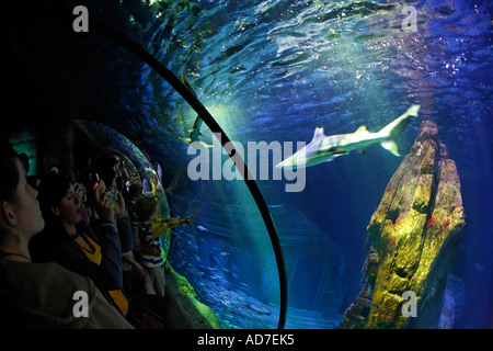 Sea Life München Bayern Deutschland Stockfoto