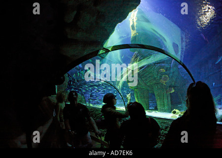 Sea Life München Bayern Deutschland Stockfoto