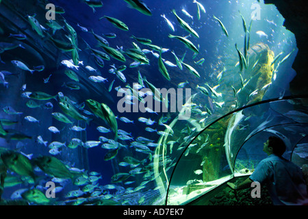 Sea Life München Bayern Deutschland Stockfoto