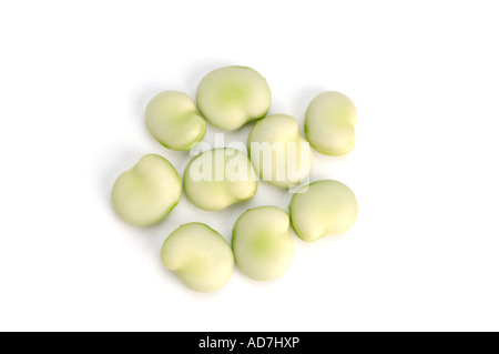 Breit oder Fava Bohnen Stockfoto