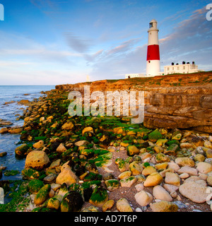 Portland Bill Leuchtturm in der Dämmerung von der Klippe über dem tückischen Landspitze Felsen an der Küste unten Stockfoto