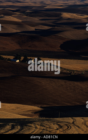 Bauernhaus zwischen Hügeln der Weizen schneiden und Felder Abendlicht von Steptoe Butte Eastern Washington State USA gelöscht Stockfoto