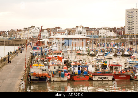 Kommerziellen Fischerboote und Yachten im Hafen von Bridlington, Yorkshire coast Stockfoto