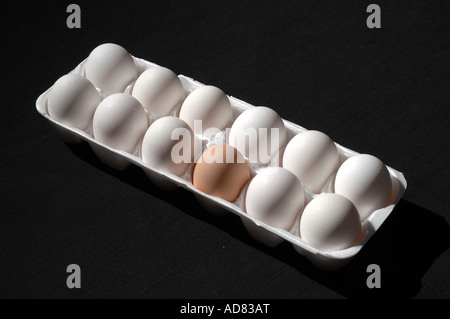 Eine braune Ei im Karton von elf weißen Eiern Stockfoto