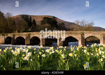 Brücke über den Fluss Usk in Abergavenny mit dem Blorange-Berg im Hintergrund. Stockfoto