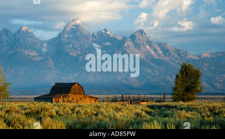 Historische Scheune auf Mornon Zeile im Grand Teton National Park Stockfoto