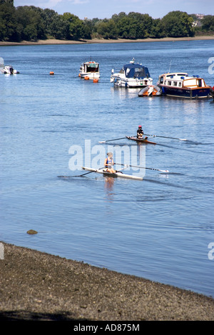 Ruderer auf der Themse an Putney London England Stockfoto