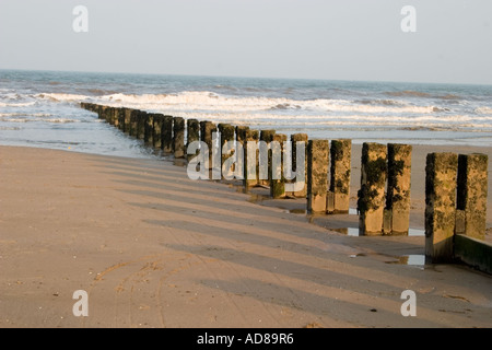 Buhnen auf Bridlington Beach Stockfoto