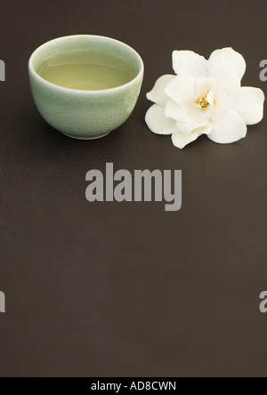 Tasse Tee und Gardenia Blume Stockfoto