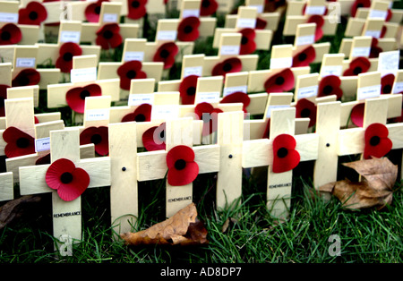 Ein Feld von kreuzen und rote Mohnblumen auf dem Gelände des Westminster Cathedral für Gedenktag Stockfoto