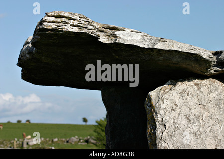 Detail des freitragenden Vordersteins eines antiken Grabes Poulabrone Megalithisches Grab Das Burren County Galway Irland Stockfoto