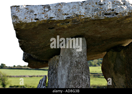 Steinarbeiten Detail ein altes Grab das Grün der Weiden im Hintergrund Poulabrone Megalithic Grab Stockfoto