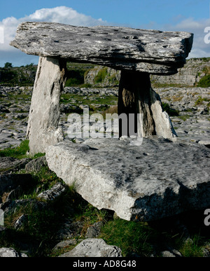 Alten Steinzeit megalithische Grabstätte inmitten eines Feldes übersät mit Rock Poulabrone Megalithic Grab Stockfoto