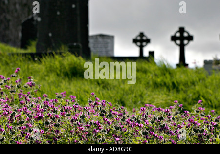 Ein Friedhof umrahmt von einer Reihe von brillanten Wicke Blumen mit zwei leise fokussierte keltische Kreuze einen grauen Himmel im Hintergrund Stockfoto