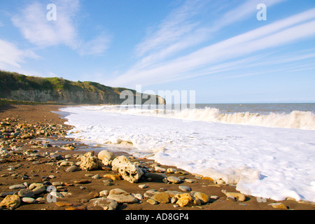 Weißdorn Hive Strand, Co Durham, Großbritannien Stockfoto