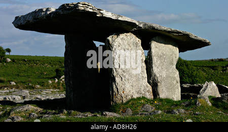 Alten Steinzeit Grab inmitten eines Feldes übersät mit Felsen Poulabrone Megalithic Grab The Burren County Galway Irland Stockfoto