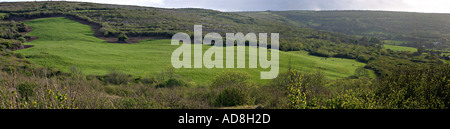 Eine Weide, die umgeben von Wald und Hügeln mit Vieh weidete auf dem leuchtenden grünen Rasen in der späten Nachmittagssonne Stockfoto