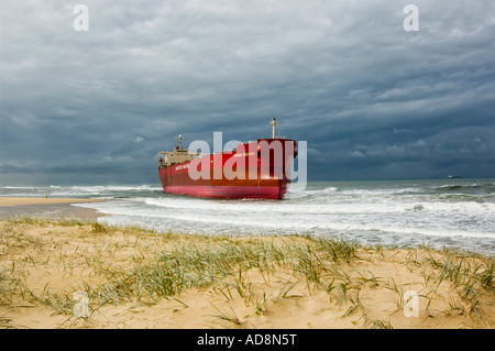 40000 Tonnen Massengutfrachter Pascha Bulker im Juni 2007 auf Nobbys Strand geblasen Sturm Newcastle New South Wales Australien Stockfoto