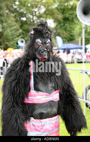 Mann in Gorilla Kostüm auf der Banchory Agricultural Farmers Summer Fair und Show Aberdeenshire, Scotland UK Stockfoto