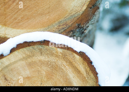 Stapel von Schnee bedeckten Protokolle, extreme Nahaufnahme Stockfoto