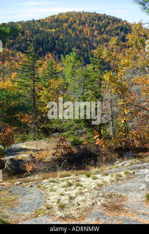 Wanderweg auf Albany Berg in den White Mountains National Forest in Maine. Digitale Fotografie Stockfoto