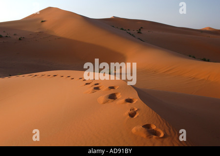Menschliche Spuren in den Sand in den Sanddünen des Erg Chebbi in der Sahara Wüste, Marokko Stockfoto