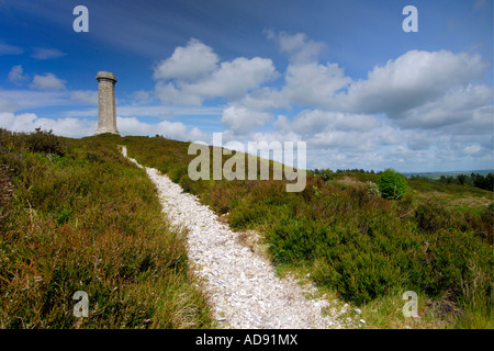 Der National Trust geschützt Hardy Monument auf schwarzer unten in der Nähe von Portesham Dorset in Erinnerung an Vizeadmiral Thomas Masterman Hardy Stockfoto