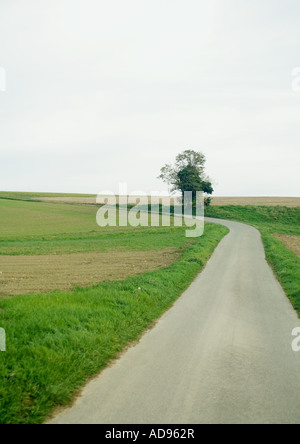 Landstraße durch grüne Landschaft Stockfoto