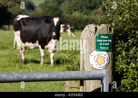 Ein öffentlicher Fußweg Schild an einem Pfosten mit Rindern im Feld hinter Worcestershire England UK Stockfoto