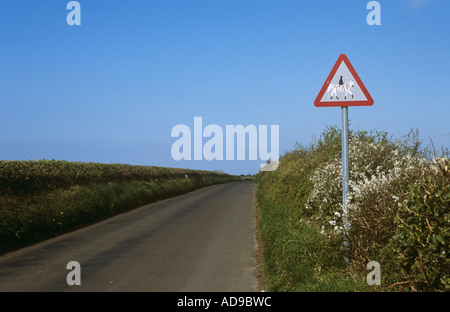 Pferd Reiter Verkehrsschild mit Zebrastreifen Stockfoto