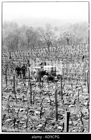 kein Herr Street Fotografie Traktor in einem Weinberg im Frühjahr in Südfrankreich Stockfoto