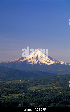 Mount Hood und Hood River Valley Oregon Blick aus über Kolumbien-Fluss an Underwood Washington Stockfoto