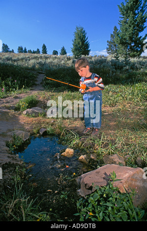 Lemhi Pass Bitterroot Bergen Montana Stockfoto