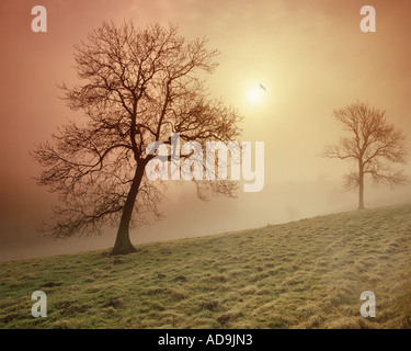 GB - GLOUCESTERSHIRE: Herbst in den Cotswolds Stockfoto