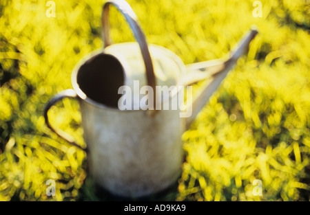 Gießkanne verzinkt Aluminium sitzen auf hell am frühen Morgen oder späten Abend sonnenbeschienene gelben Grases streut Stockfoto