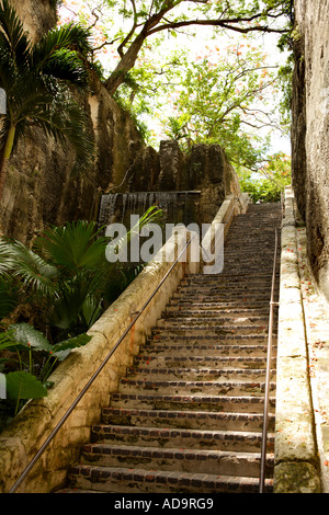 Queens New Providence, Bahamas, Nassau, Treppe, Aussicht auf Ridge. Stockfoto