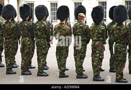 Wo befindet sich Ihr Bärenfell Soldat? Stockfoto