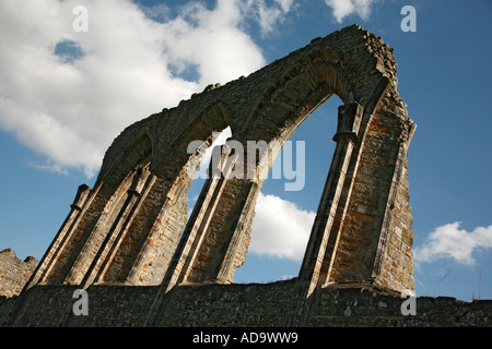 Bayham Abbey Ruinen Kent Weald wölbt sich gotische Kathedrale Fenster Stockfoto