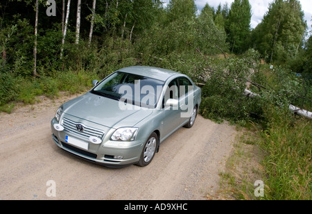 Toyota Avensis und einer gefallenen Birke, die blockiert die Straße, Finnland Stockfoto