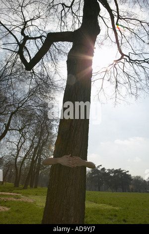 Frau die Arme um Baum Stockfoto