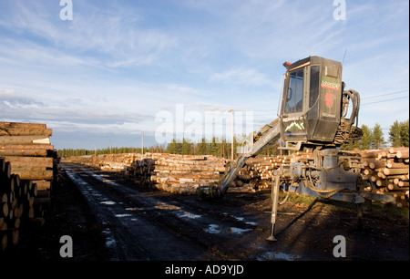 Holzlager, Bestand an geschnittenen Stämmen und ein abnehmbarer Scania-LKW-Loglift von einem Holzfäller, Finnland Stockfoto