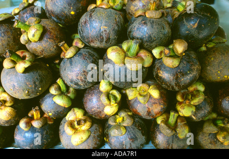 Mangostan-Frucht (Garcinia Mangostana), Früchte Stockfoto