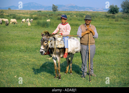 Hirt mit jungen auf Esel, Griechenland Stockfoto