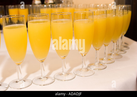 Feier Bucks Fizz in Querflöte Gläser Stockfoto
