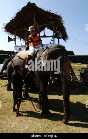 Galle Fort Elefant Polospiel Stockfoto