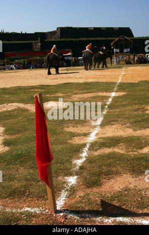 Galle Fort Elefant Polospiel Stockfoto