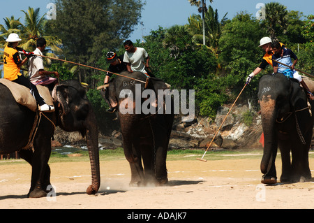 Galle Fort Elefant Polospiel Stockfoto